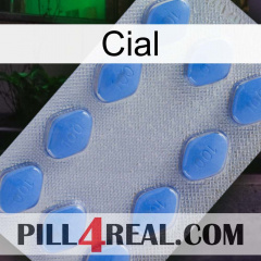 Cial 21